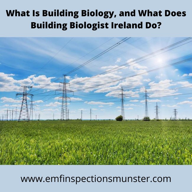 Building Biologist Ireland