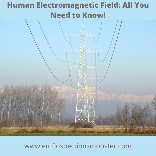 Human Electromagnetic Field