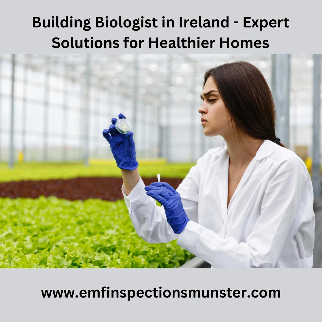 Building Biologist in Ireland | Expert Solutions for Healthier Homes
