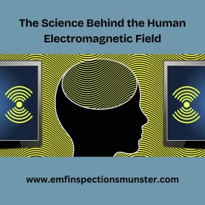 human electromagnetic field